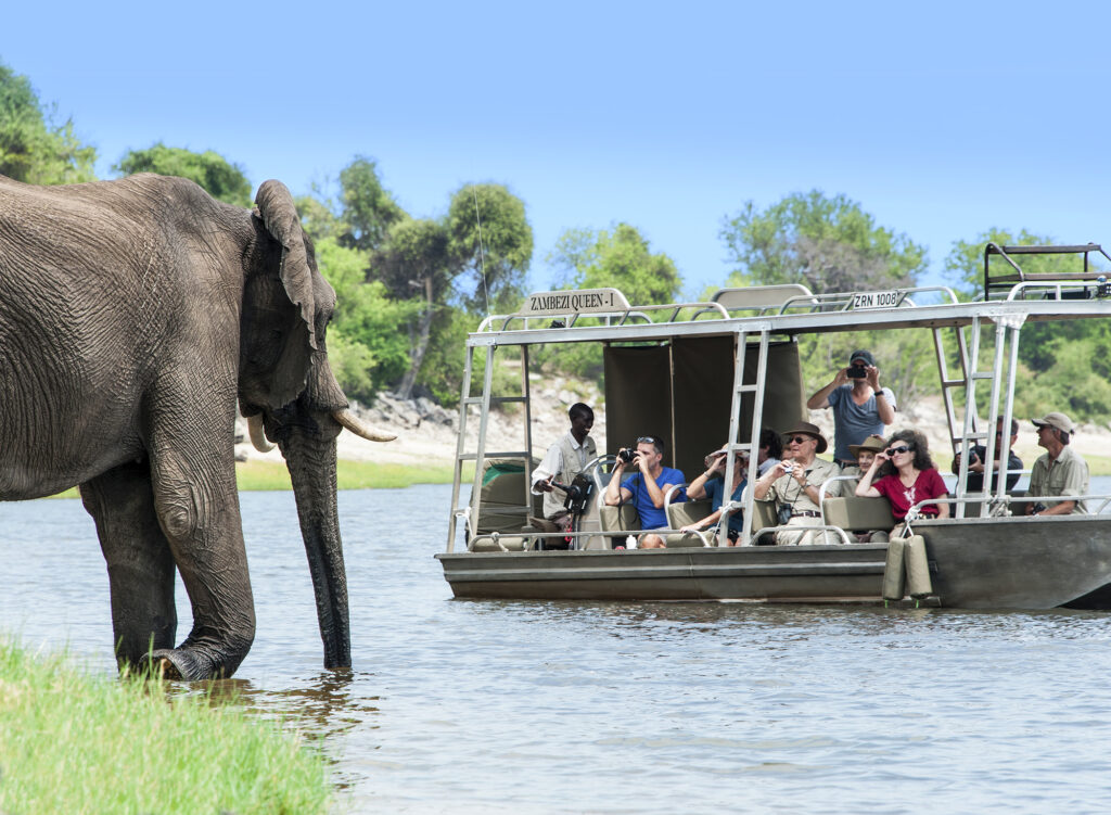 Game Viewing on the Chobe River. Cruising with AmaWaterways on the Zambezi Queen
