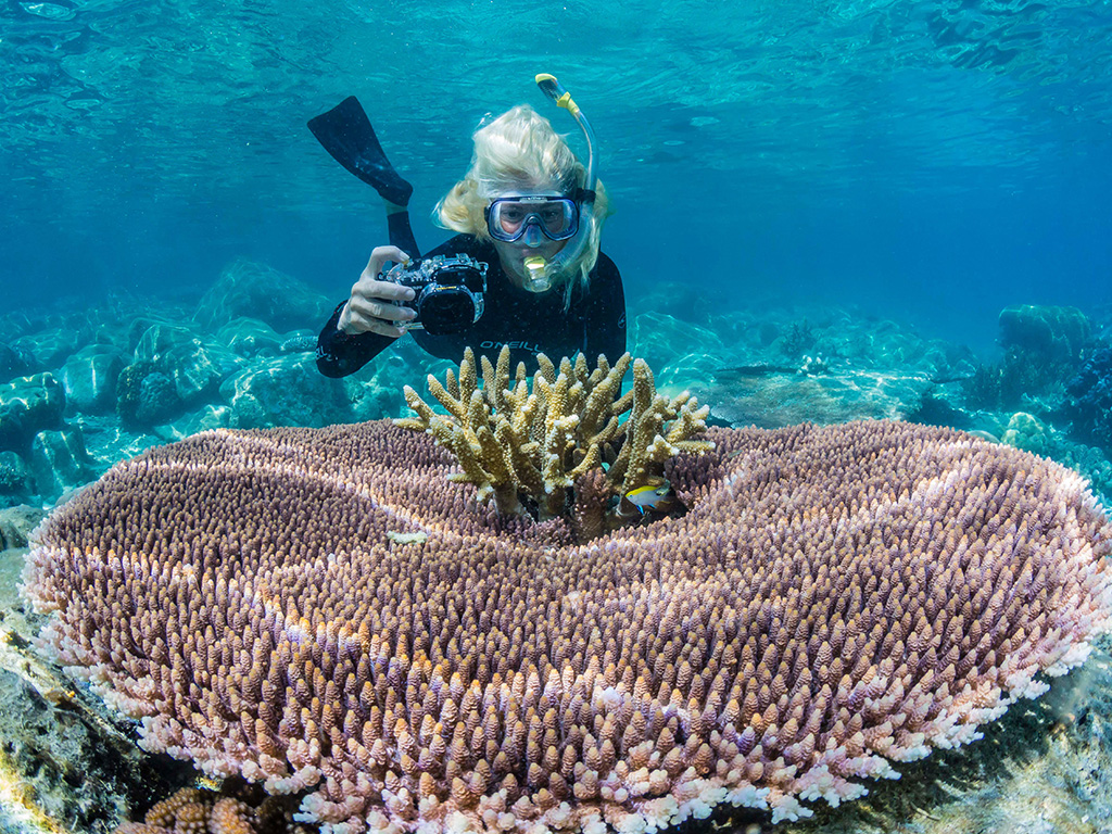 A scuba driver photographs undersea life